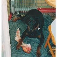 Blanding af racer sandy