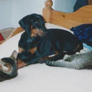 Blanding af racer sandy