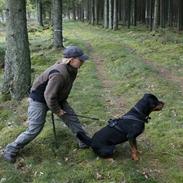 Rottweiler Jondia´s Alley (Aica)