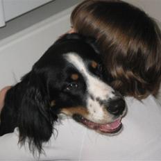 Blanding af racer **Viggo**