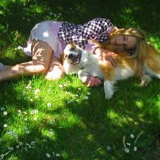 Blanding af racer  Haldur