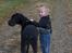 Grand danois ## RICCO ## - Hvem går tur med hvem?