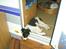 Border collie Bamse - Min mors - man ligger nu meget godt her ? ;p