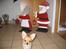 Chihuahua wejner