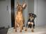 Blanding af racer Norah - Snoops & Norah 
