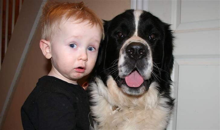 Blanding af racer <3HERCULES<3 billede 15