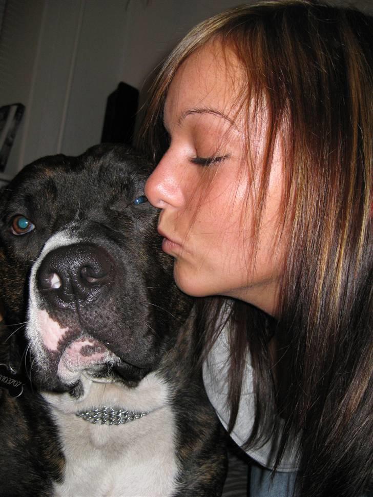 Blanding af racer Kenzo - Seje Kenzo med mors briller :P billede 1