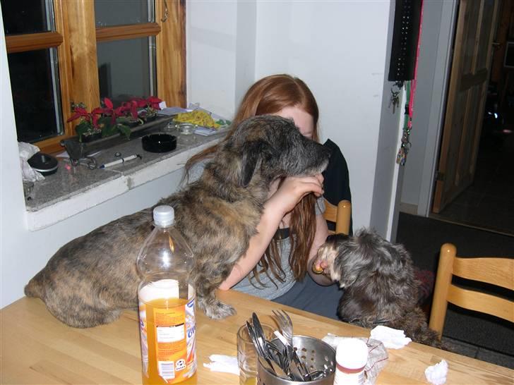 Blanding af racer Rasmus - FY rasmus der må man ikke være billede 7