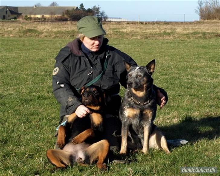 Rottweiler Bimmer 12/8-07 - 6/8-08 - Her er jeg sammen md min adfærdsbehandler og hendes hund. Se hvor jeg hygger billede 11