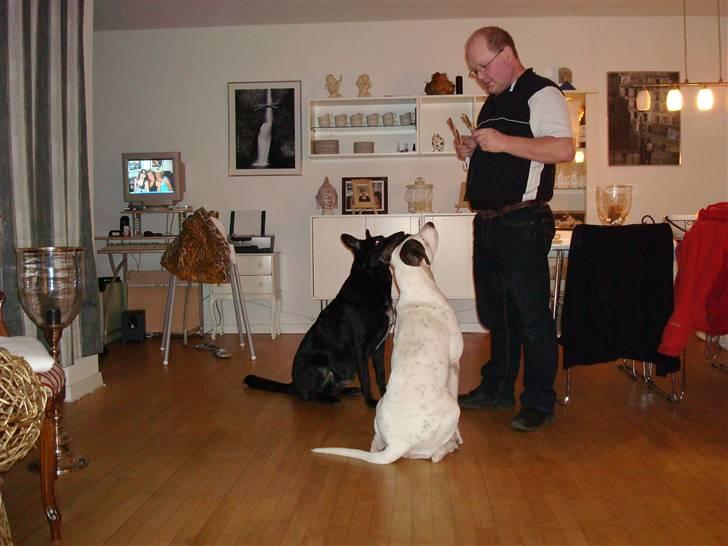 Blanding af racer Tøsen - Morfar har altid noget lækkert til os ;D billede 20