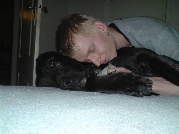 Blanding af racer Pølle 3/4 gd 1/4 rw - Pølle er en rigtig fars hund billede 5