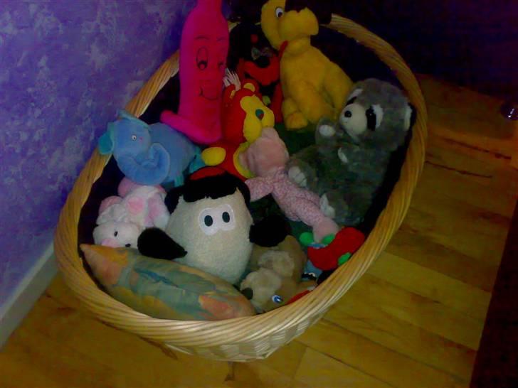 Cocker spaniel safir of mombasa. - se alle mine bamser, dem fik jeg af min mor. billede 4