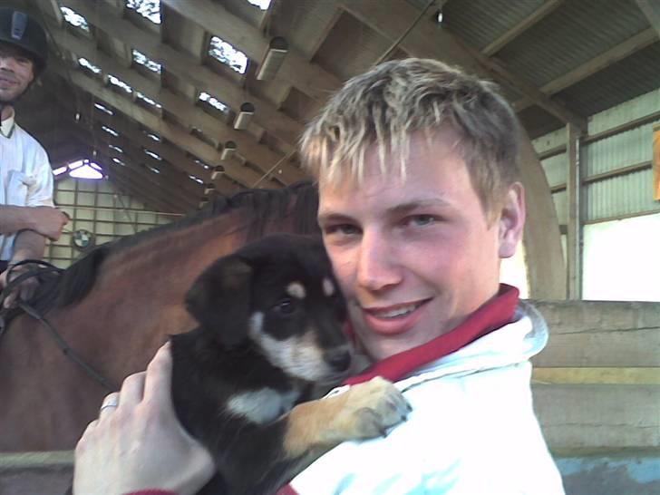 Blanding af racer Joy - Er de ikke nuttede? billede 3