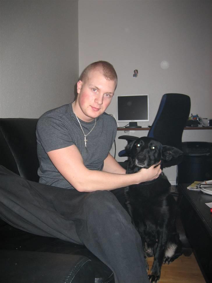 Blanding af racer Luna billede 4