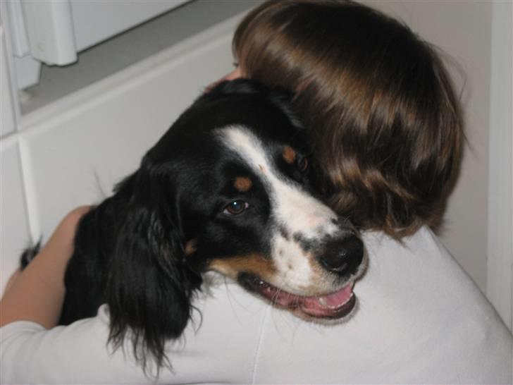 Blanding af racer **Viggo** - En lille krammer:) billede 3