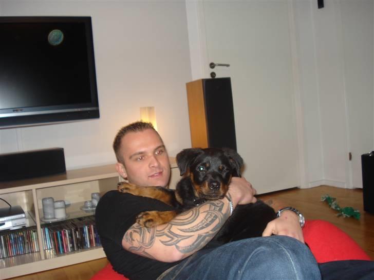 Rottweiler Chica - Chica og Farmand  billede 12