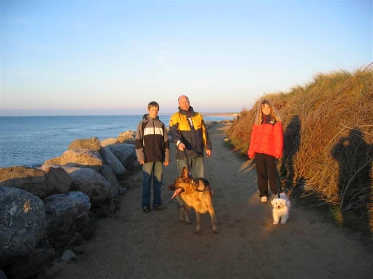 Schæferhund Jennie <3 † DØD † R.I.P - SAVNER DIG :( billede 18