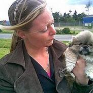 Pekingeser Lotus