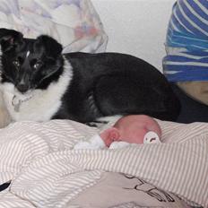 Blanding af racer max