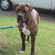 Blanding af racer Mailo  R.I.P.