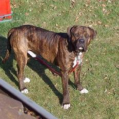 Blanding af racer Mailo  R.I.P.