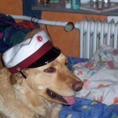 Blanding af racer malou