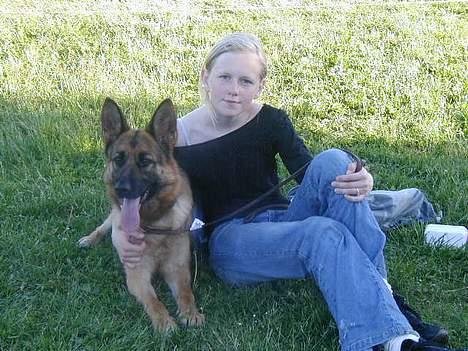 Schæferhund Slottet's Version Of Life - Her er jeg til ringtræning med min løber louise, som også løber med  mig til udstillinger , vi får lige en lille slapper midt i alt løberiet   billede 11