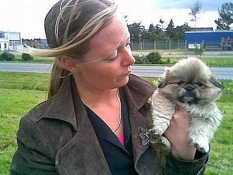 Pekingeser Lotus - Min "mor" & mig =) billede 3