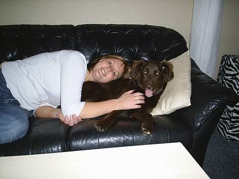 Blanding af racer Bella *6 mdr* - sig mig.. tror hun jeg er en hovedpude?? billede 6