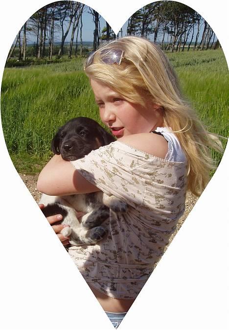 Blanding af racer speechii - her er han næsten 5 uger gammel er han ikke bare dejlig....... billede 1