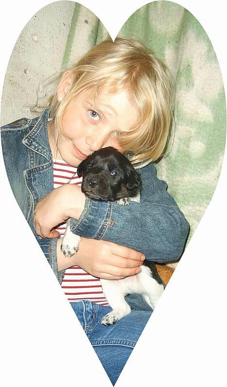 Blanding af racer speechii - her er han 3 uger gammel billede 7