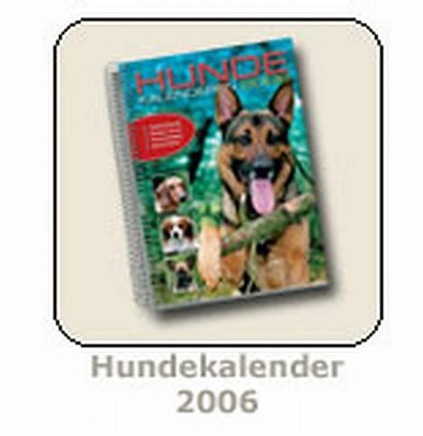 Chihuahua Malthe - Handekalenderen 2006 fra DKK, hvor malthe er på forsiden nede i venstre hjørne billede 10