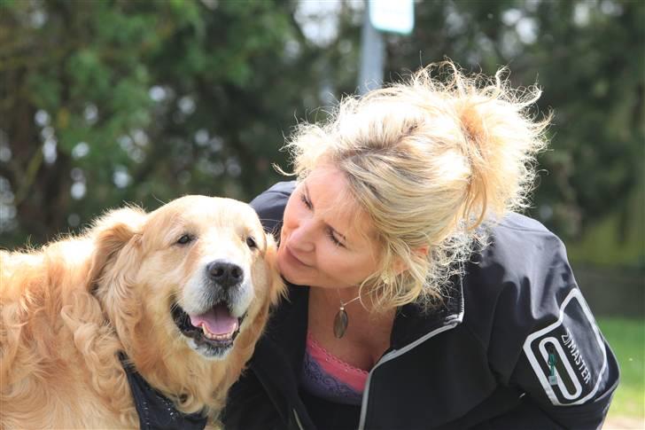 Golden retriever Schaky *RIP* - Schaky og min mor d. 18/5-10 billede 11