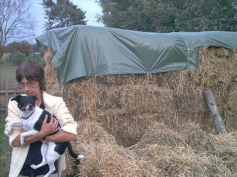 Dansk svensk gaardhund Trunte - det er rart med mor,s arme billede 6