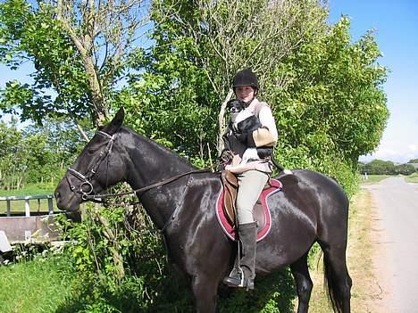 Dansk svensk gaardhund Trunte - det er vist de højere luftlag det her billede 11