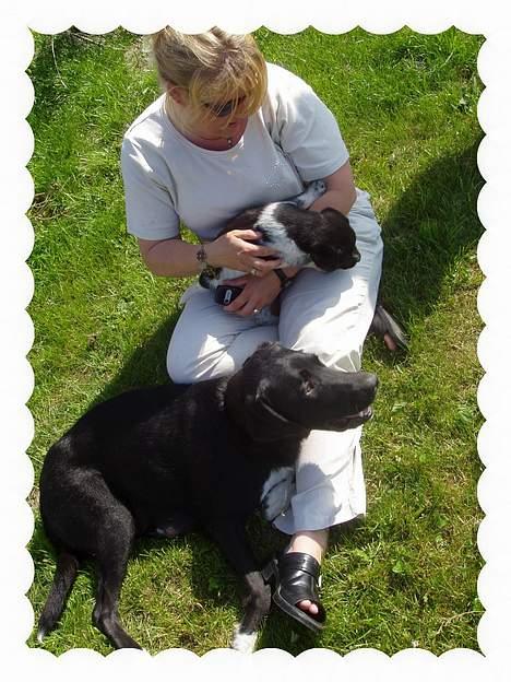 Blanding af racer speechii - her er han med hans og min mor billede 11