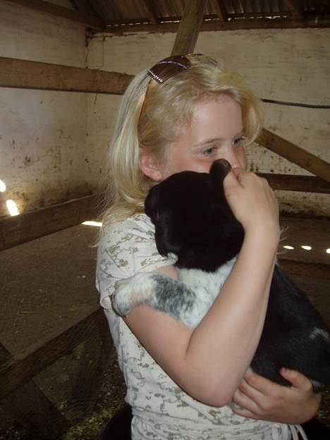 Blanding af racer speechii - han giver gerne masser af kys billede 13