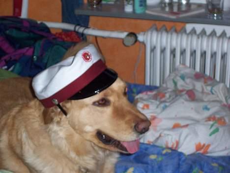 Blanding af racer malou - når jeg bliver stor vil jeg også være student!! :) billede 2