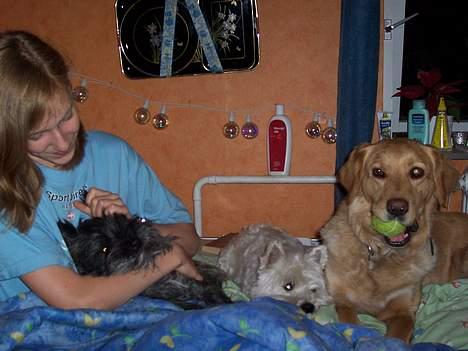 Blanding af racer malou - her er så billedet af alle vores "små"  hunde og Mig selv *GG* billede 4