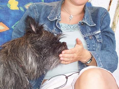 Cairn terrier Vicky Leandros *HIMMELHUND* - mmm. hvad er det for en vidunderlig sæbe??? den smager vildt godt!!! billede 13