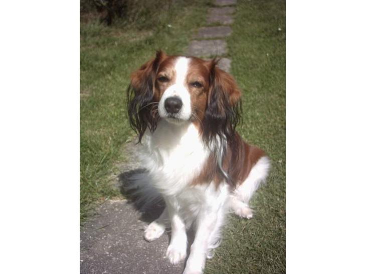 {{currentPhoto.altText}} billede {{currentPhoto.number}}