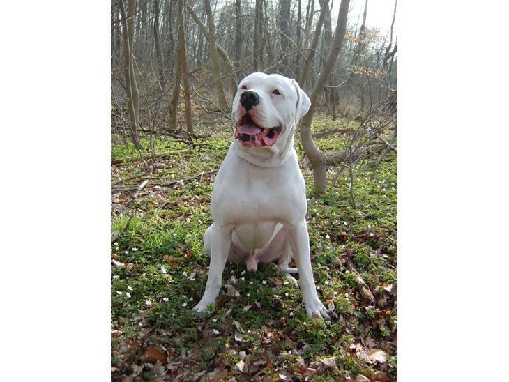 {{currentPhoto.altText}} billede {{currentPhoto.number}}