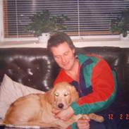 Golden retriever | Buller --DØD-- :,( 