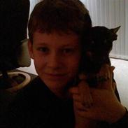 Chihuahua Choise