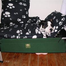 Blanding af racer Ea - Bor hos sin far