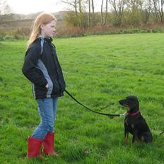 Blanding af racer Flicka