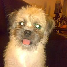 Blanding af racer Angela