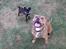 Blanding af racer Marlin - smile.....ha ha ha