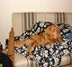 Nova scotia duck tolling retriever billie
