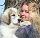 Pyreneerhund Frigg